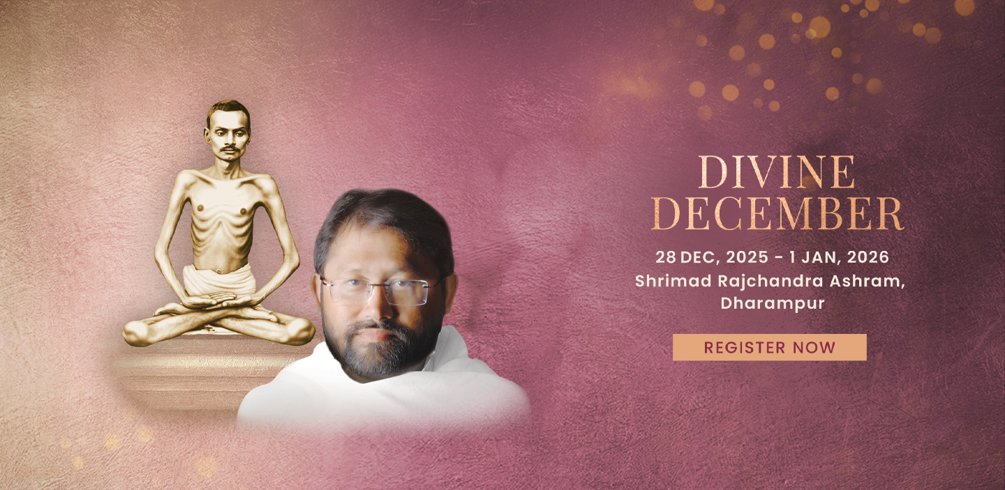 Divine December 2025